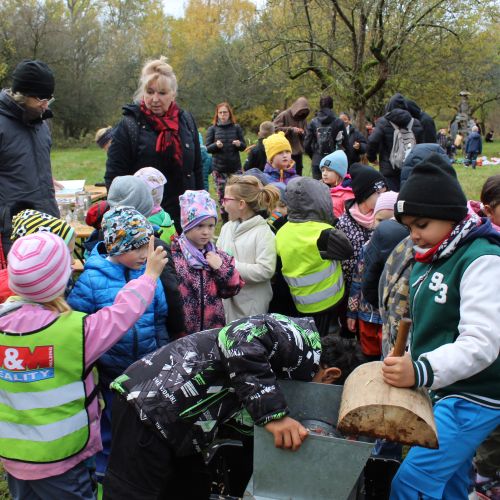 Jablkobraní 24.10.25