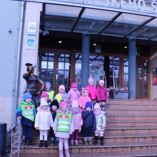 Medvíďata v expozici ČŠ