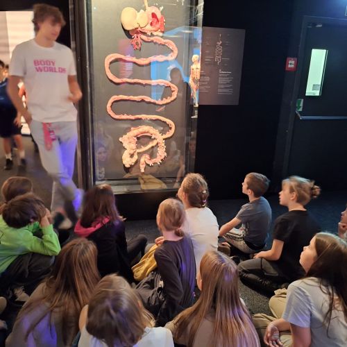 Druhé trojročí výuka o lidském těle na světové výstavě Body worlds v Praze