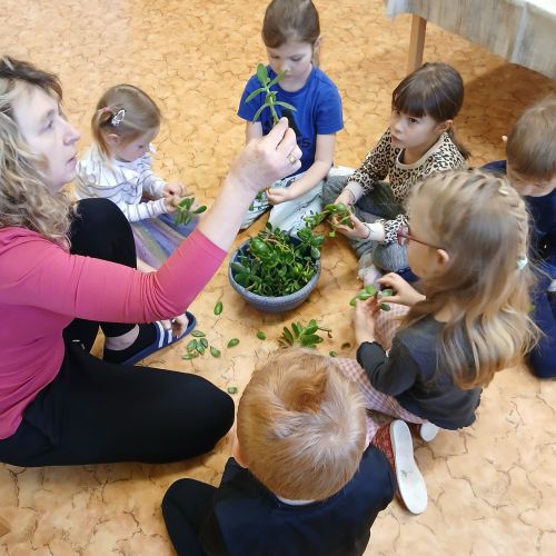 Ekotýmek 11. 2. 2026