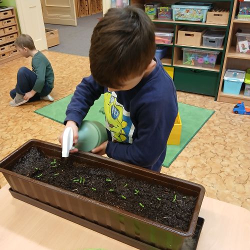 OD SEMÍNKA PO KYTIČKU