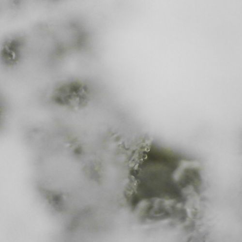 pod mikroskopem led, sníh a voda