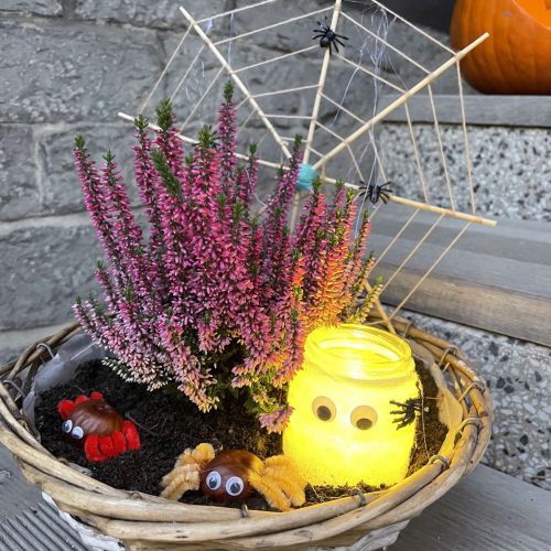 <br />
<b>Notice</b>:  Undefined index: name in <b>/home/zskrasnalipa.cz/vendor/vrana/notorm/NotORM/Row.php</b> on line <b>166</b><br />
