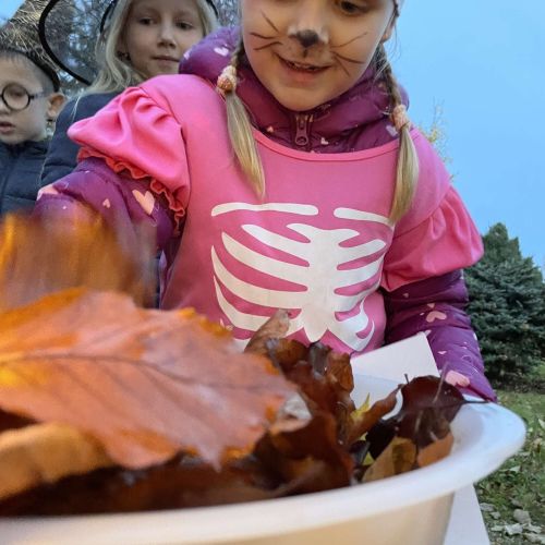 <br />
<b>Notice</b>:  Undefined index: name in <b>/home/zskrasnalipa.cz/vendor/vrana/notorm/NotORM/Row.php</b> on line <b>166</b><br />
