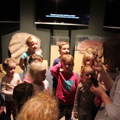 <br />
<b>Notice</b>:  Undefined index: name in <b>/home/zskrasnalipa.cz/vendor/vrana/notorm/NotORM/Row.php</b> on line <b>166</b><br />
