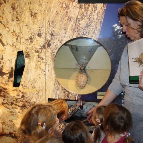 <br />
<b>Notice</b>:  Undefined index: name in <b>/home/zskrasnalipa.cz/vendor/vrana/notorm/NotORM/Row.php</b> on line <b>166</b><br />
