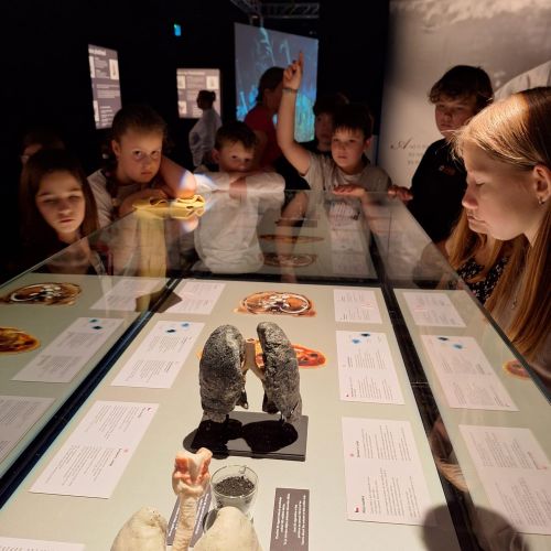 <br />
<b>Notice</b>:  Undefined index: name in <b>/home/zskrasnalipa.cz/vendor/vrana/notorm/NotORM/Row.php</b> on line <b>166</b><br />
