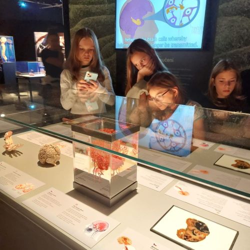 <br />
<b>Notice</b>:  Undefined index: name in <b>/home/zskrasnalipa.cz/vendor/vrana/notorm/NotORM/Row.php</b> on line <b>166</b><br />
