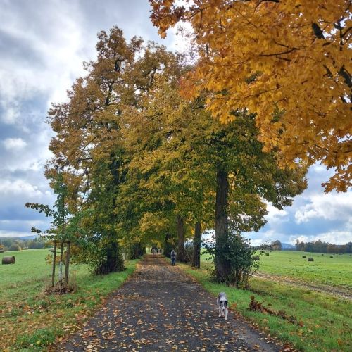 <br />
<b>Notice</b>:  Undefined index: name in <b>/home/zskrasnalipa.cz/vendor/vrana/notorm/NotORM/Row.php</b> on line <b>166</b><br />
