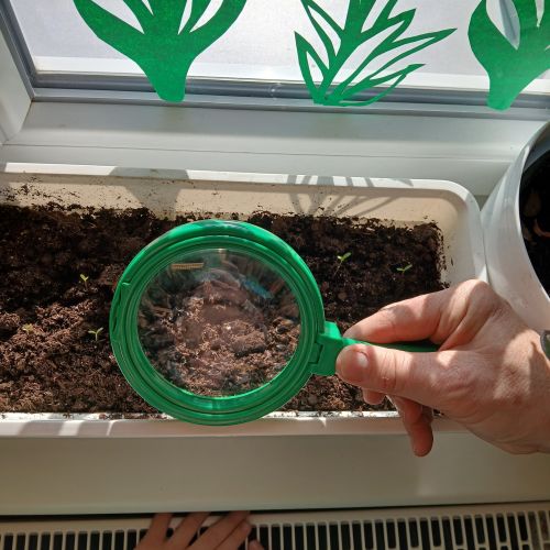 <br />
<b>Notice</b>:  Undefined index: name in <b>/home/zskrasnalipa.cz/vendor/vrana/notorm/NotORM/Row.php</b> on line <b>166</b><br />
